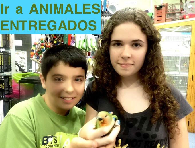 Animales Entregados